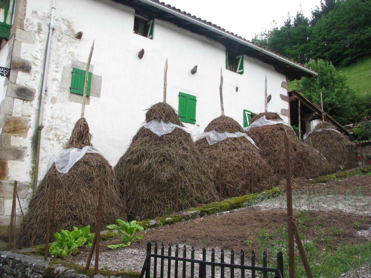 Albergue Olasenea Aterpea Zubieta Extérieur photo
